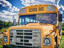 Jak promować zdrowie w przedszkolu?