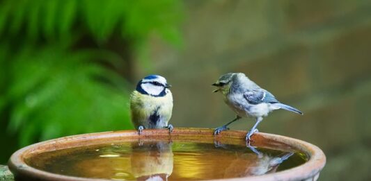 Czego nie mówi na rozmowie kwalifikacyjnej? Czego nie mówi na rozmowie kwalifikacyjnej?