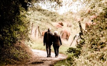 Ile wynosi maksymalna emerytura? Ile wynosi maksymalna emerytura?