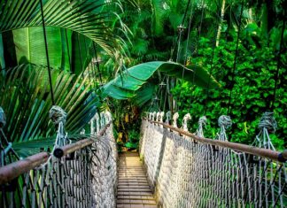 Czym różni się kurs kwalifikacyjny od specjalistycznego?