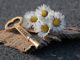 Jaki interes otworzyć?