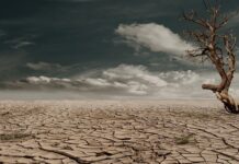 Czy będzie susza w 2023?