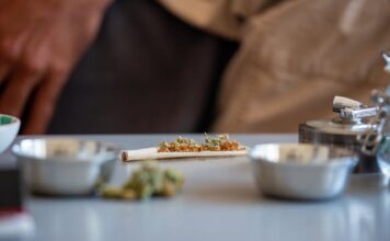 Przestępstwa narkotykowe – jak się bronić? Kompleksowy przewodnik prawny na 2025 rok Przestępstwa narkotykowe